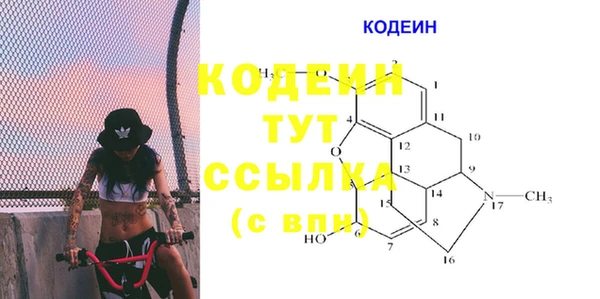 СК Алексин