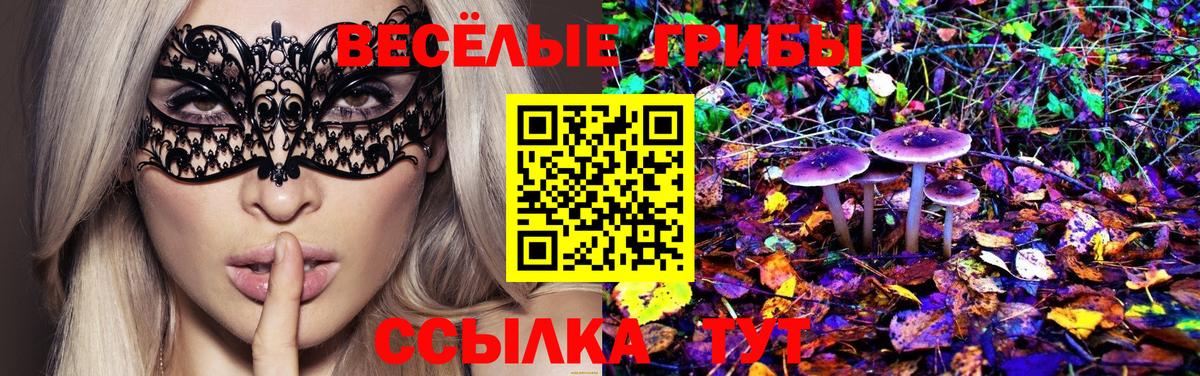 Галлюциногенные грибы ЛСД  Вход с VPN  Псилоцибиновые грибы MAGIC MUSHROOMS  Белгород 
