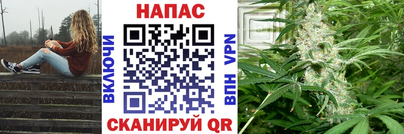 Марихуана тримм  где найти   Белгород 